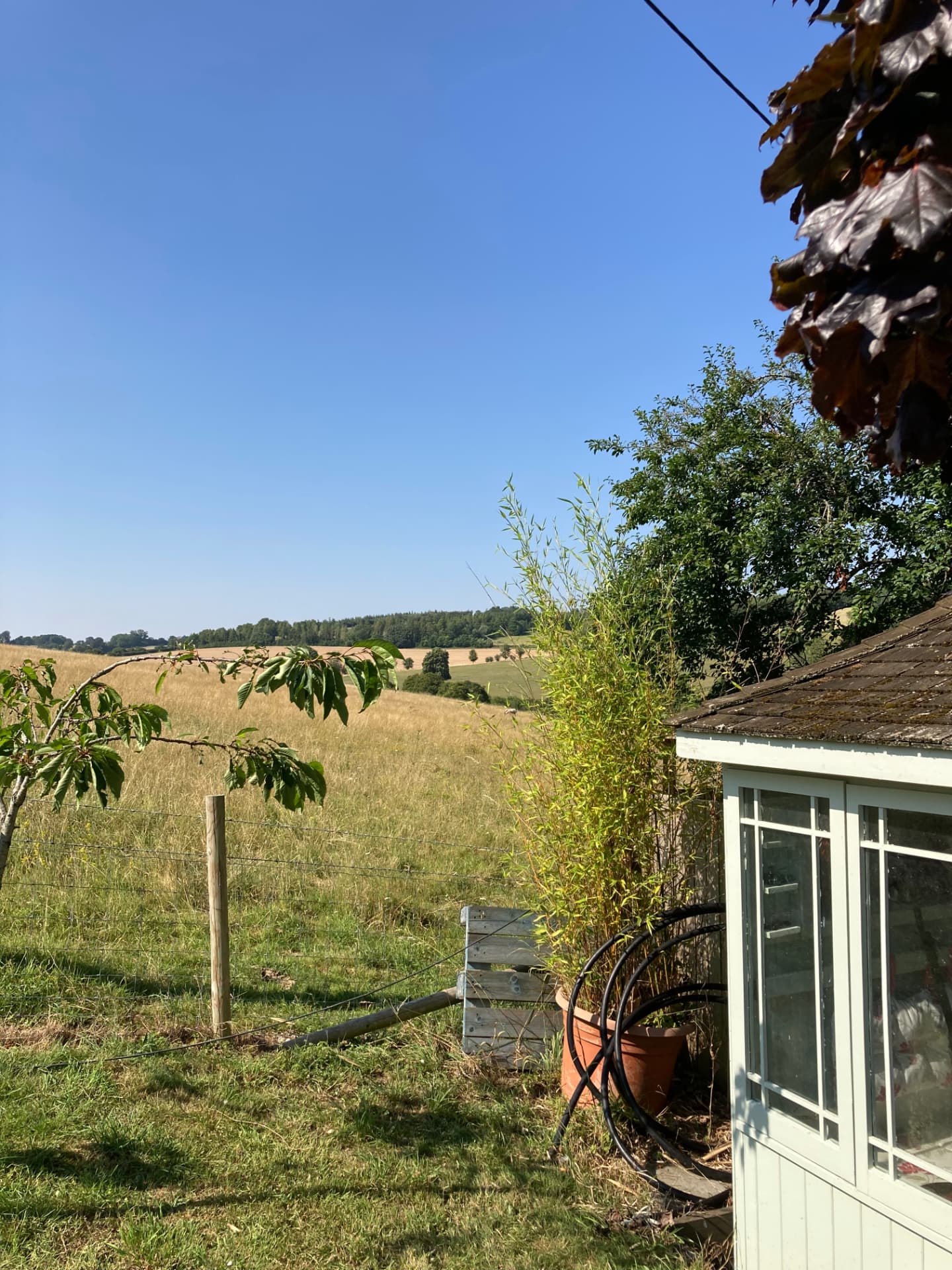 Site image